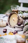 Autumnal arrangement of natural decorations on set table