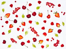 Various back-lit berries and cherries