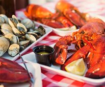 Cooked lobster and mussels on serving platters