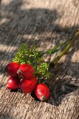 Rose hips on wooden background