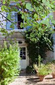 Potted plant on gravel floor in front of Mediterranean country house