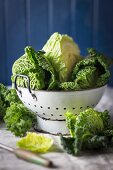 Fresh savoy cabbage in a colander