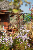 Häuschen mit Terrasse im herbstlichen Schrebergarten