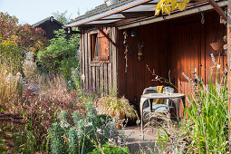 Häuschen mit Terrasse im herbstlichen Schrebergarten