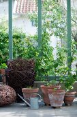 Grünpflanzen in Tontöpfen, Zinkgießkanne und Korbgefäße in sommerlichem Wintergarten