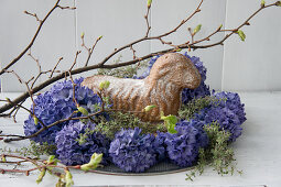 Easter lamb cake in nest of hyacinths and thyme with budding lime branches