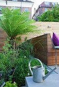 Zinc watering can on terrace in front of wooden screen and bed of green plants