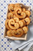 Palmiers in a wooden crate