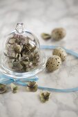 Hydrangeas under a glass cloche, quail's eggs and a ribbon on a marble surface
