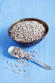 Sunflower seeds in a bowl and on a spoon