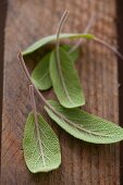 Fresh sage leaves (close-up)