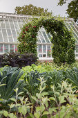 Climber-covered arch in vegetable patch and greenhouse in background