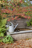 Watering cans on edge of pond in autumnal garden