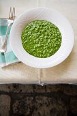 Risotto verde (stinging nettle and spinach risotto, Italy)