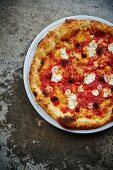 Pizza with Nduja salami and mozzarella cheese