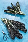 Bundles of black kale leaves