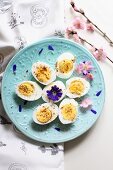 Hartgekochte Eier und Frühlingsblumen auf hellblauem Teller