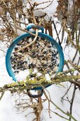 Vintage Kochtopf gefüllt mit Fett und Vogelfutter an schneebedeckter Buchenhecke aufgehängt