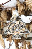 Christmas-tree pastry cutter filled with bird cake in garden