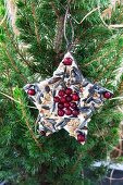 Sternausstechform mit Vogelfutter und roten Beeren an Tannenbaum im Garten