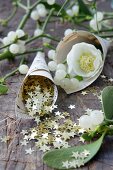 Sheet-music cone of gold stars, hellebore and mistletoe berries