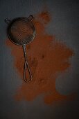 A sieve and cocoa powder on a grey surface (seen from above)