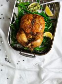 Stuffed boned roast chicken with summer vegetables and herb butter for Christmas