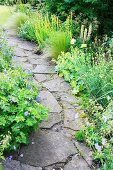 Yellow-eyed grass and feather grass lining stone-flagged garden path