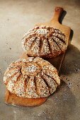 Two loaves of multigrain quark bread