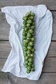 Brussels sprouts on a cloth