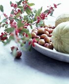 Zweig mit roten Beeren an einer Schale mit Stachelbeeren und Melonen