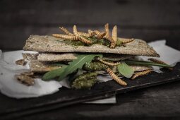 Rosemary crispbread with pesto, rocket and meal worms