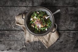 Rocket salad with goat's cheese and crispy meal worms