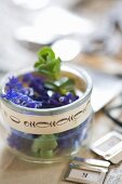 Grape hyacinths in glass jar with vintage-style border