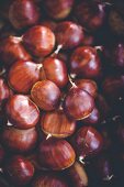 Sweet chestnuts