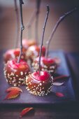 Caramel apples