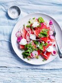 Watermelon and radish salad with goat s cheese