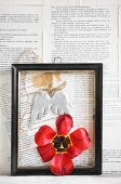 Red tulip in black picture frame on wall papered with book pages