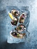 Frische Austern mit Kaviar (Draufsicht)