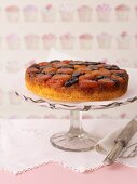 Apricot and Prune Cake
