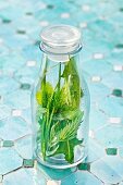 Wheatgrass, stinging nettles and dandelions in a glass bottle as smoothie ingredients