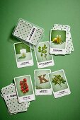 Superfood card game with healthy food