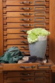 Green carnations in pot lined with pages of old books in front of old chest of drawers