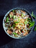 Pho glass noodles with beef, peanuts, coriander, chilli and spring onions (Vietnam)