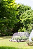 Vegetable patch with net protection in green lawn with trees