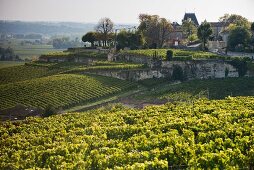 Château Ausone and vineyards, Bordeaux, France