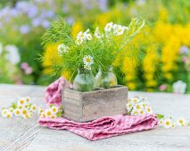 Fenchelgrün in Glasflaschen auf Gartentisch