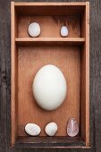 Kieselsteine, Kristall und Ei in einer Holzkiste