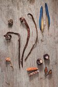 Naturfundstücke, wie getrocknete Blätter, Pflanzenstengel, Muscheln und Federn, auf Holzuntergrund