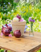 Turnips in a flower pot with red onions on a garden table